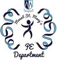 MSM PE LOGO